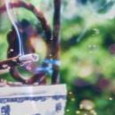 The Ultimate Incense Guide