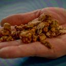 How To Make Magic Truffles Taste Better 