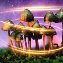 How Magic Mushrooms First Got Their Magic