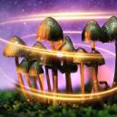 How Magic Mushrooms First Got Their Magic