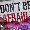 Why You Shouldn’t Be Afraid Of A Bad Trip On Magic Mushrooms