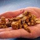 How To Avoid A Bad Trip With Magic Truffles