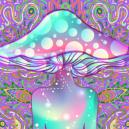 What’s The Difference Between Magic Mushrooms And DMT?