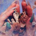 The Life And Work Of Terence Mckenna 