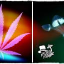 Shrooms Vs Weed: The Drugs The Whole World Loves