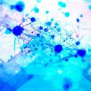 Psilocybin Promotes The Growth Of New Brain Cells
